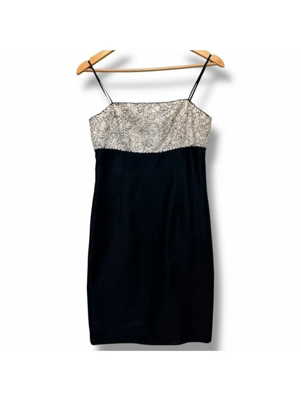 Ann Taylor Vintage Victorian 100% Silk Dress